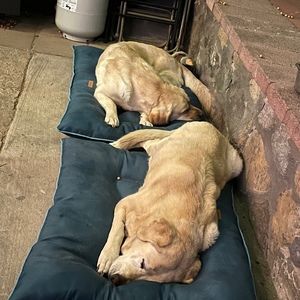 Meet your Posher, Matt